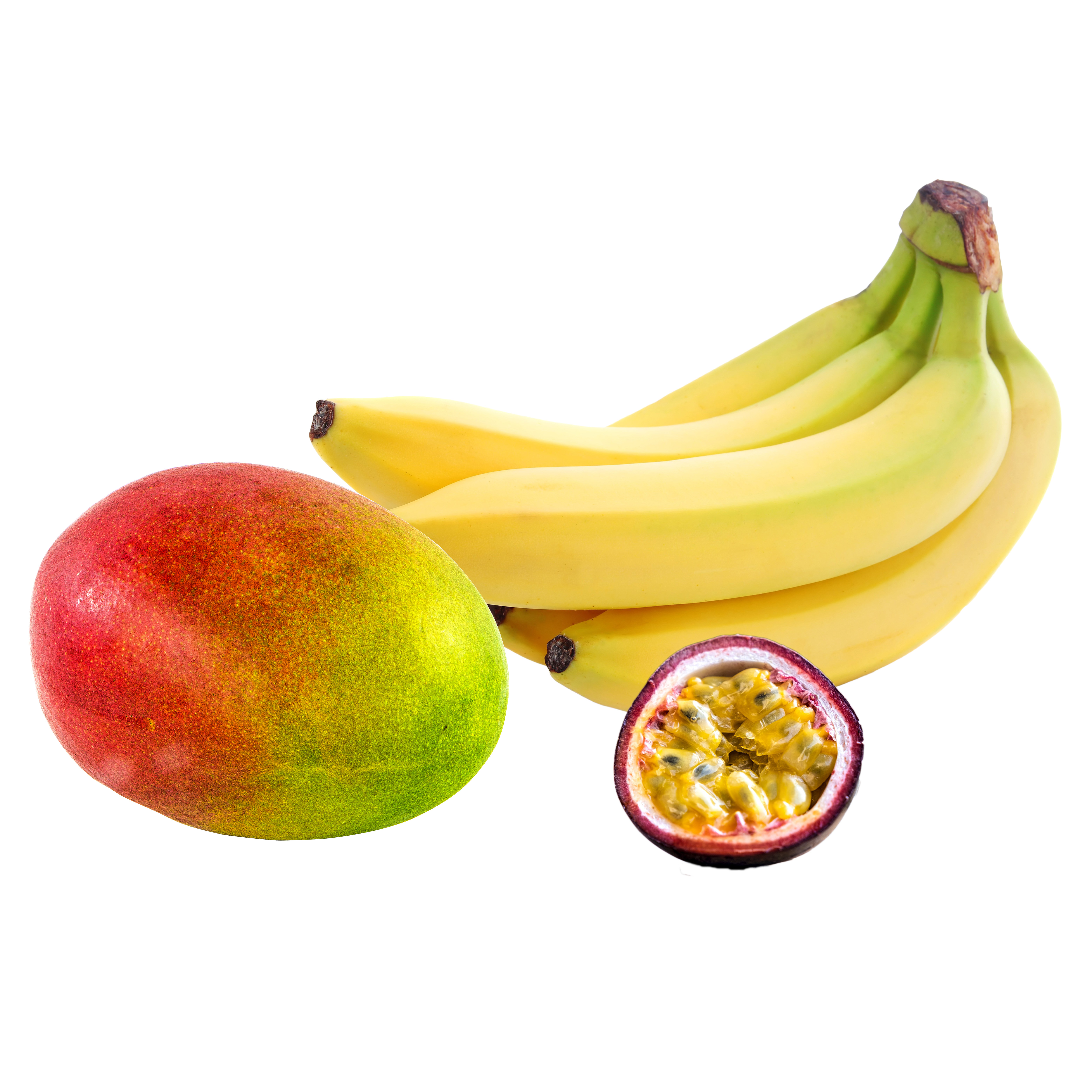 Ponthier EXOTIC PÜREE Mango Banane Maracuja Limette Püree Früchtemark 6x 1KG