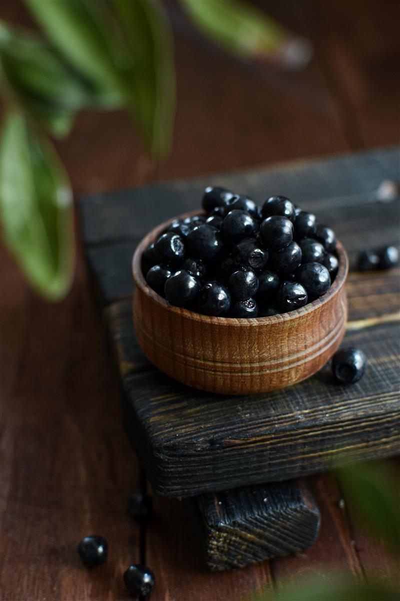 Caramanfruit Schwarze-Johannisbeeren-Püree 8x 1kg Cassis-Frucht-Püree 