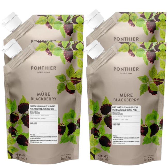 Ponthier BROMBEEREN PÜREE Frucht-Mark-Püree Brombeermark 4x 1KG