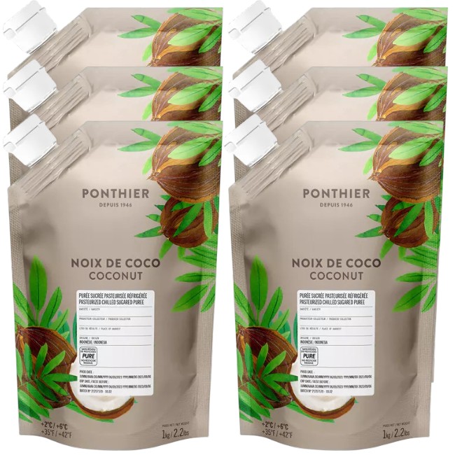 Ponthier KOKOSNUSS PÜREE Nüsse-Püree Kokosnussmark 6x 1KG 