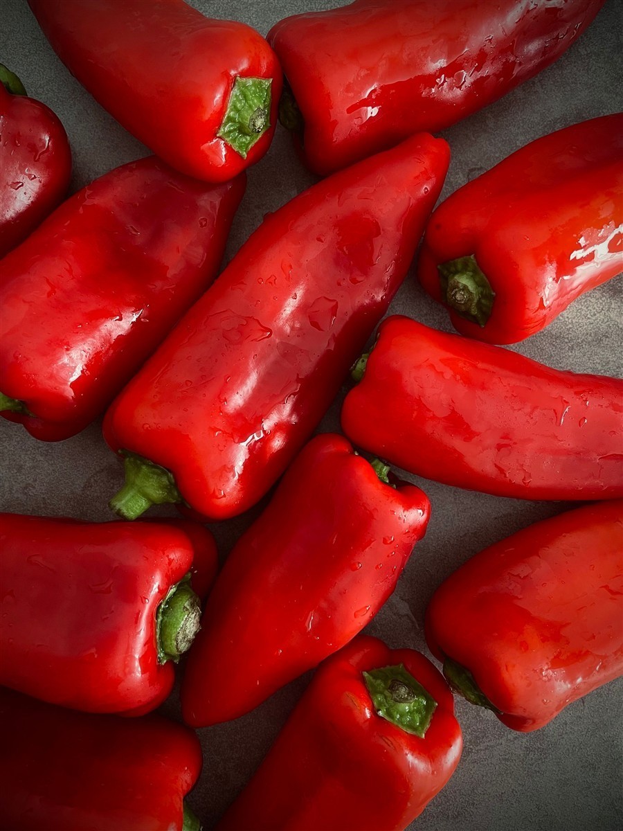 Ponthier PAPRIKA PÜREE ROT Gemüse-Püree Paprikamark 6x 1KG