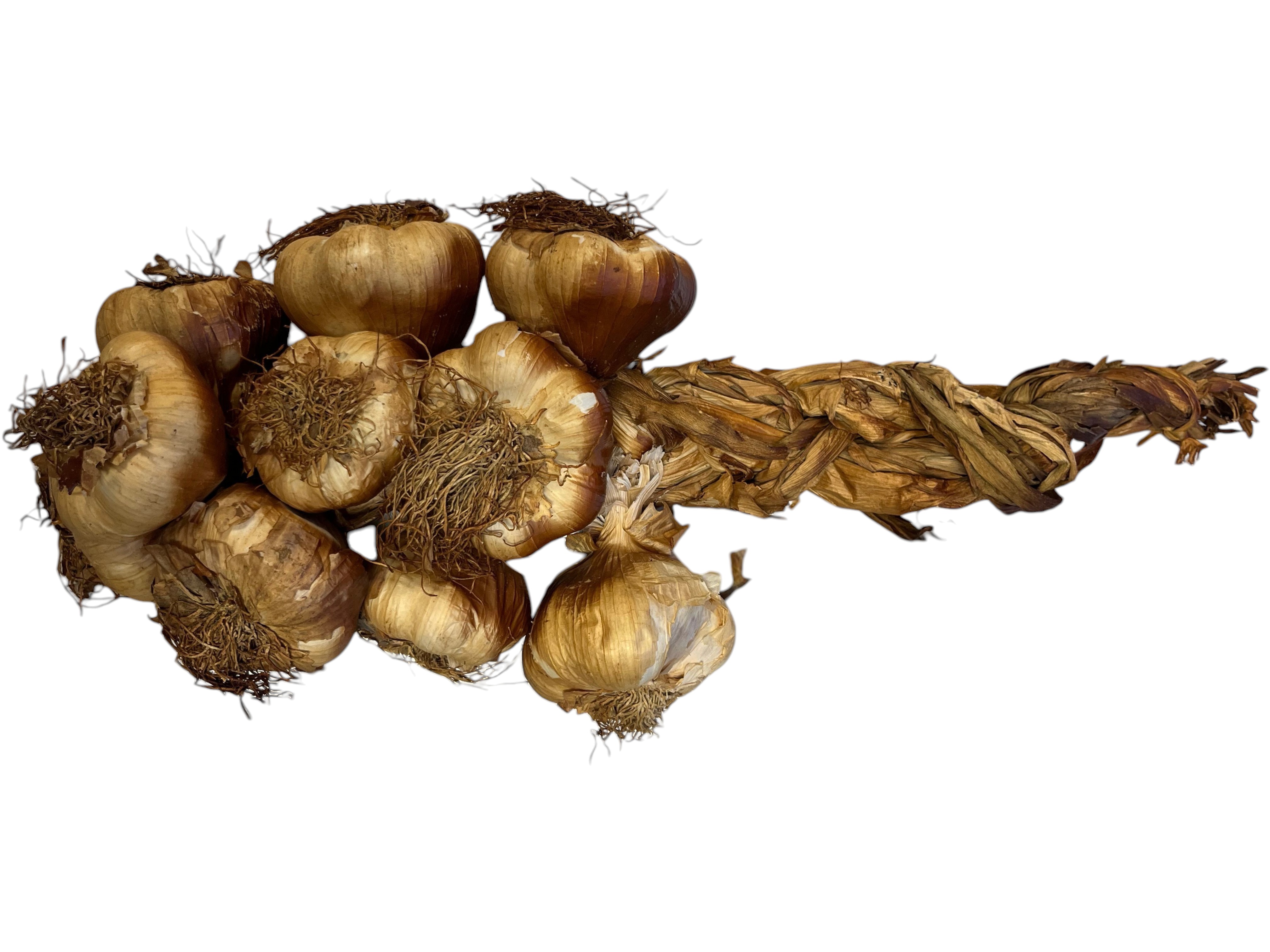 Hymor französischer geräucherter Knoblauch 36 Stück 3x1kg als Zopf