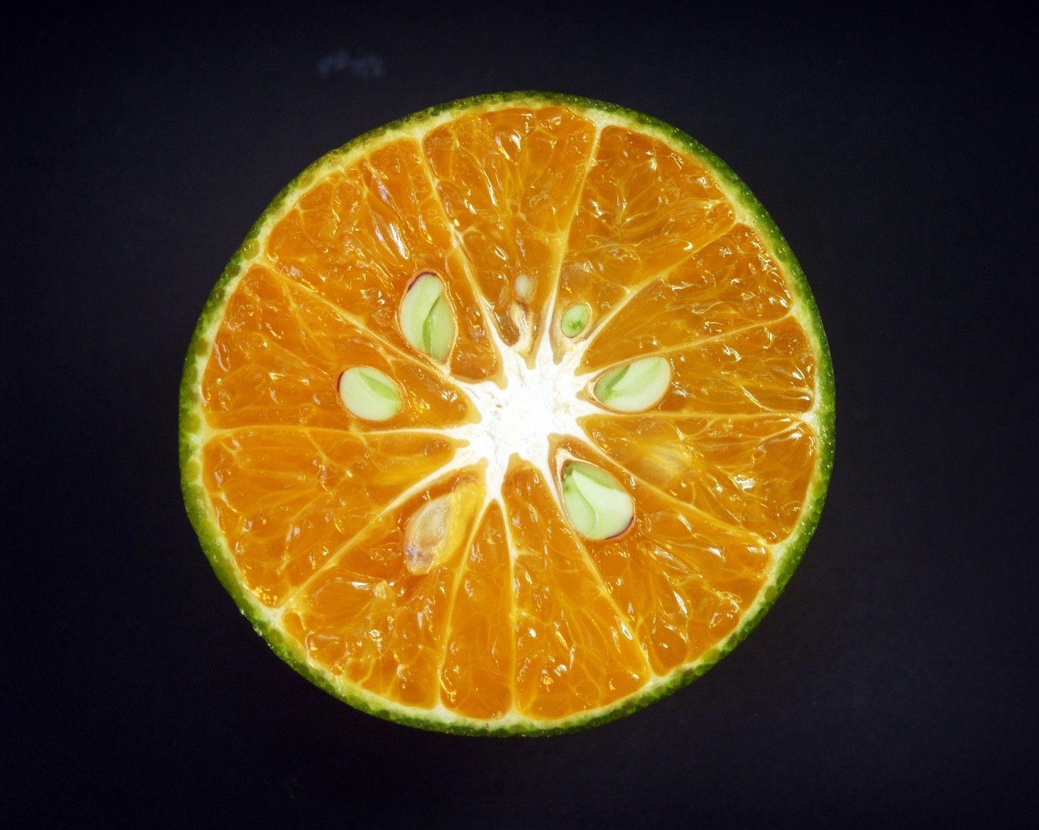 Ponthier KALAMANSI PÜREE Zitrus-Frucht-Püree Kalamansimark 1KG