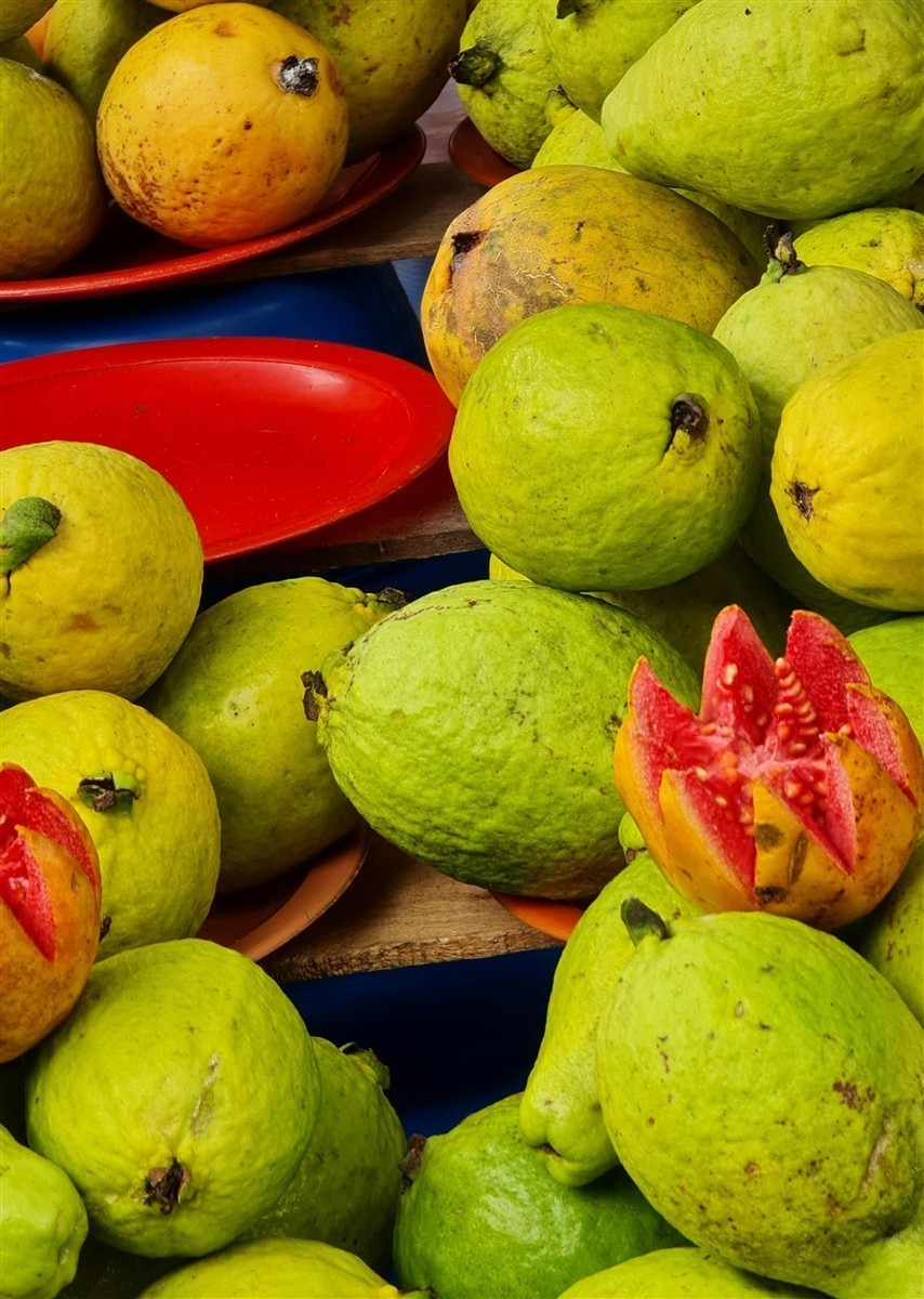 Ponthier GUAVE PÜREE Zitrus-Frucht-Püree Guavenmark 6x 1KG