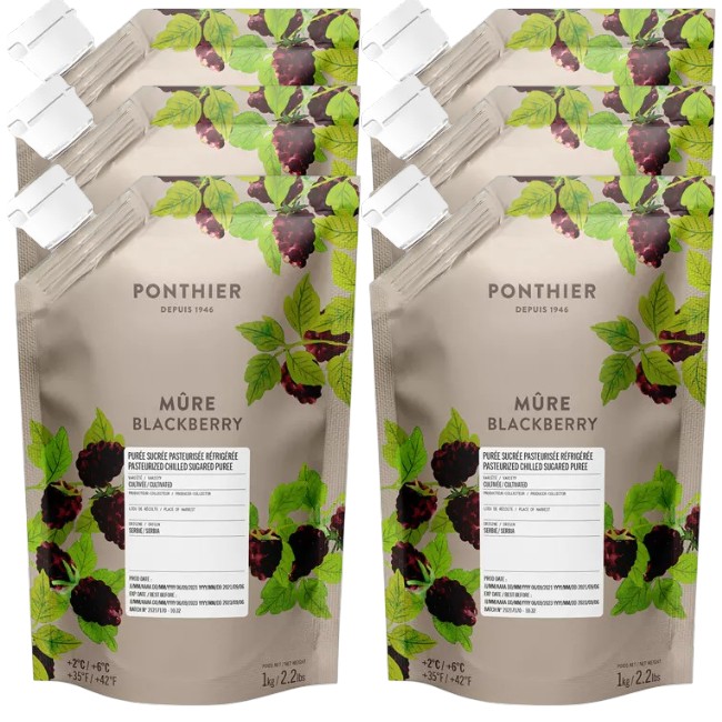 Ponthier BROMBEEREN PÜREE Frucht-Mark-Püree Brombeermark 6x 1KG