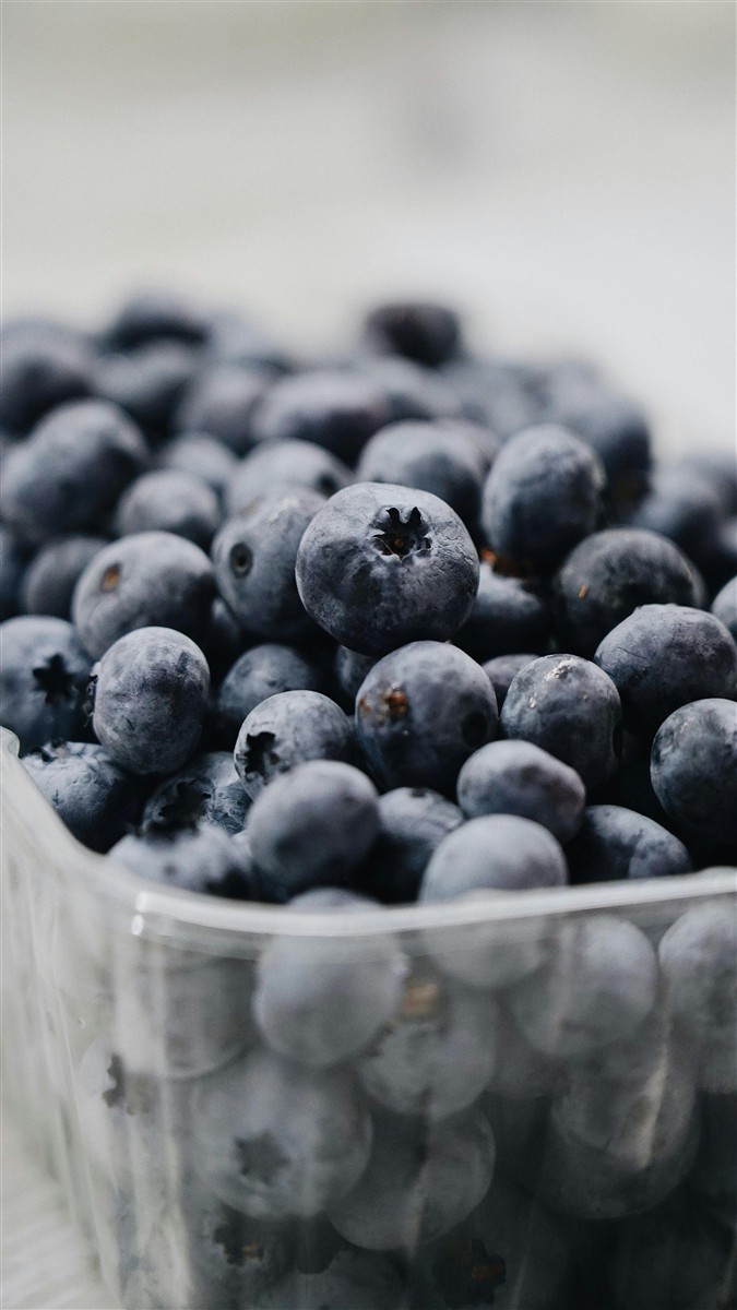 Ponthier HEIDELBEEREN PÜREE Frucht-Püree Heidelbeerenmark 6x 1KG