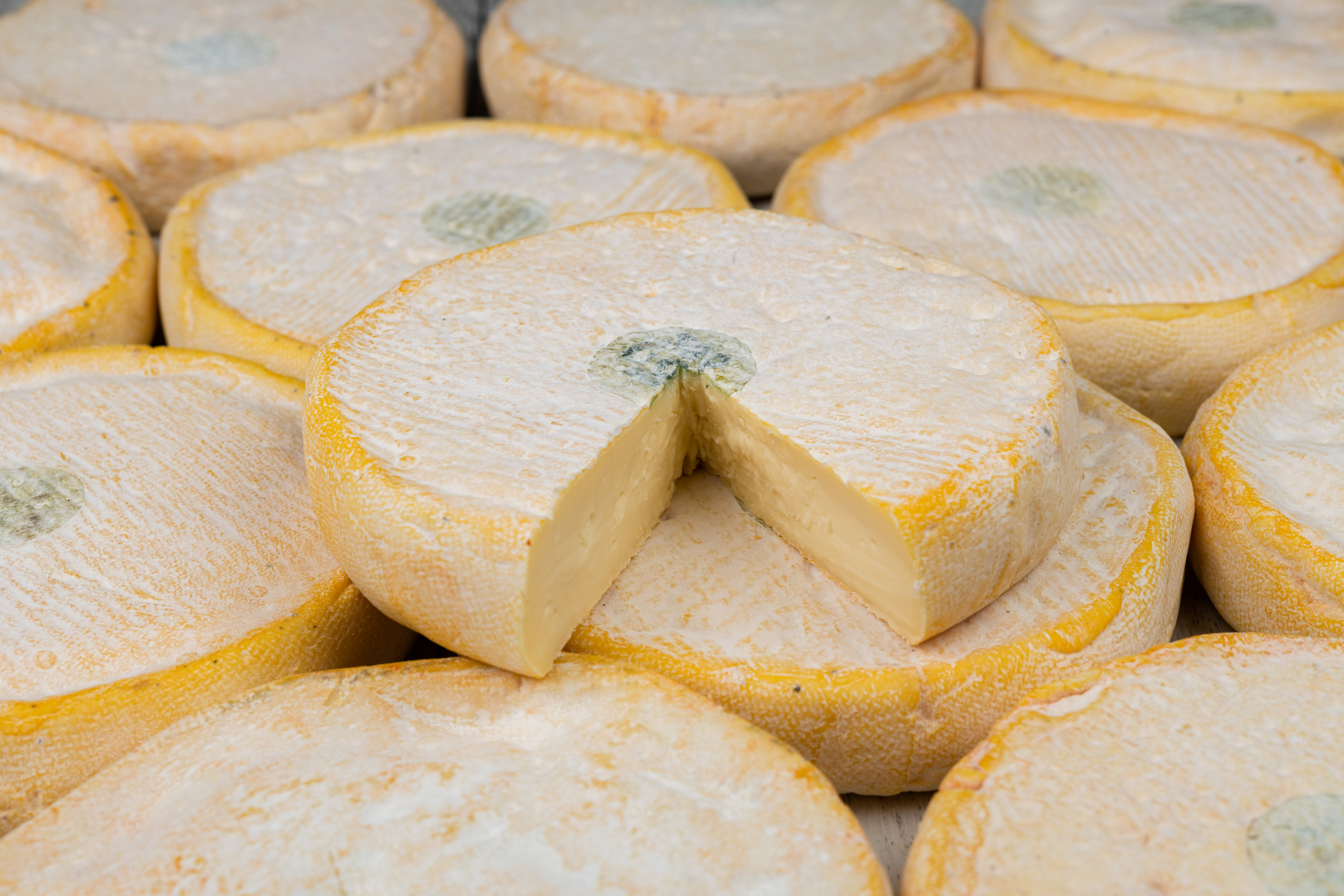 Reblochon de Savoie AOP Tradition Èmotion ca. 6x 500g