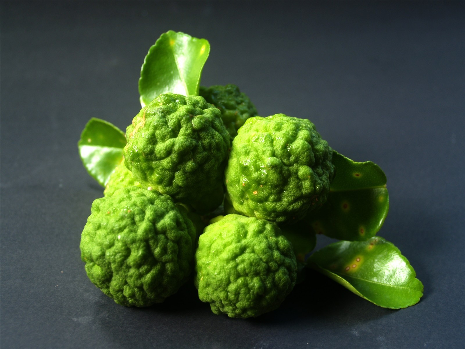 Ponthier BERGAMOTTEN PÜREE Zitrus-Frucht-Püree Bergamottenmark 6x 1KG