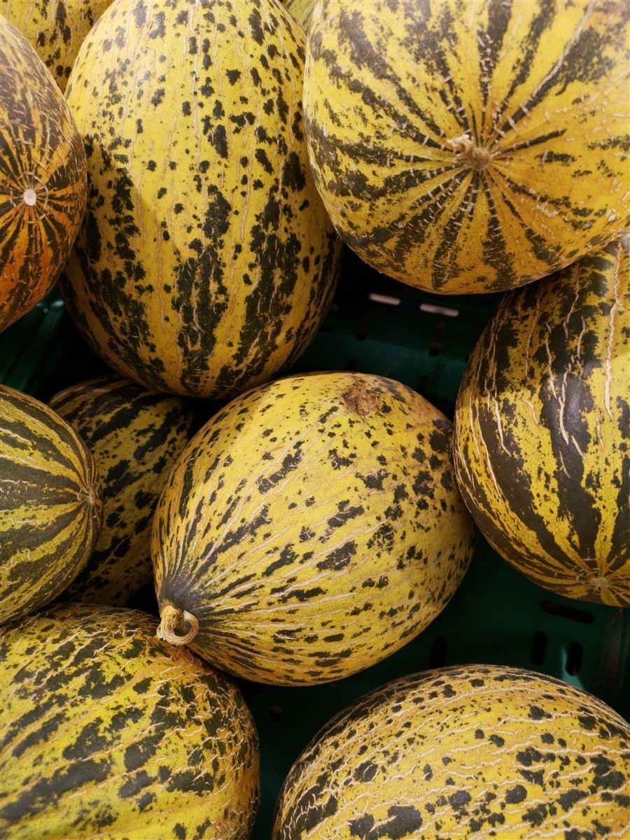 Ponthier MELONEN PÜREE Melon-du-Quercy-Frucht-Püree Melonenmark 6x 1KG