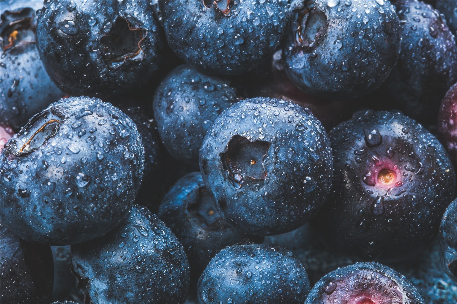 Ponthier HEIDELBEEREN PÜREE Frucht-Püree Heidelbeerenmark 2x 1KG