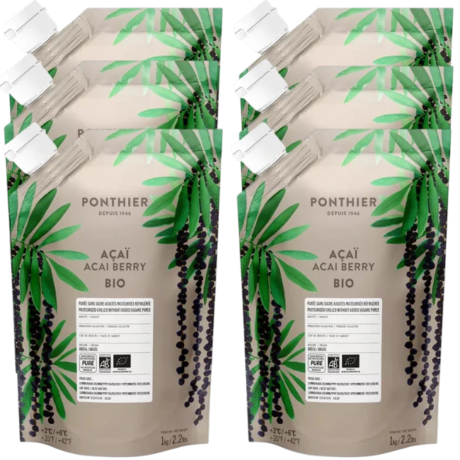 Ponthier ACAI-BEERE-Frucht-PÜREE Acaibeerenmark 6x 1KG 