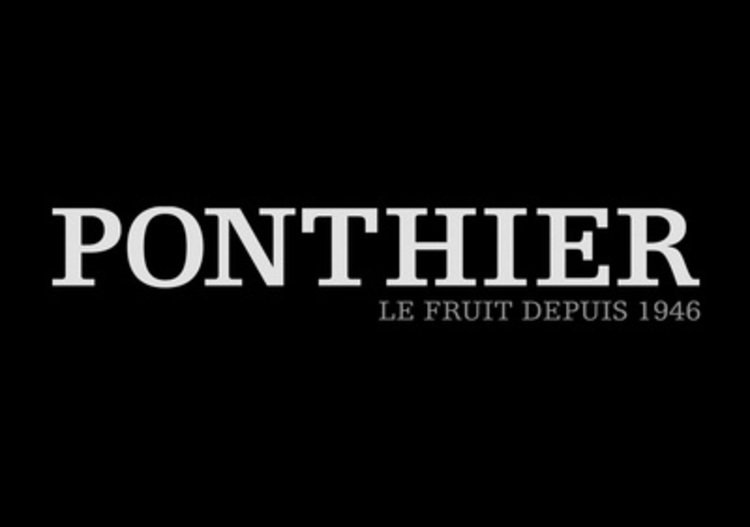 Ponthier Zitrone Fruchtpüree 6x 1kg Premium Femminello Zitrone Sizilien