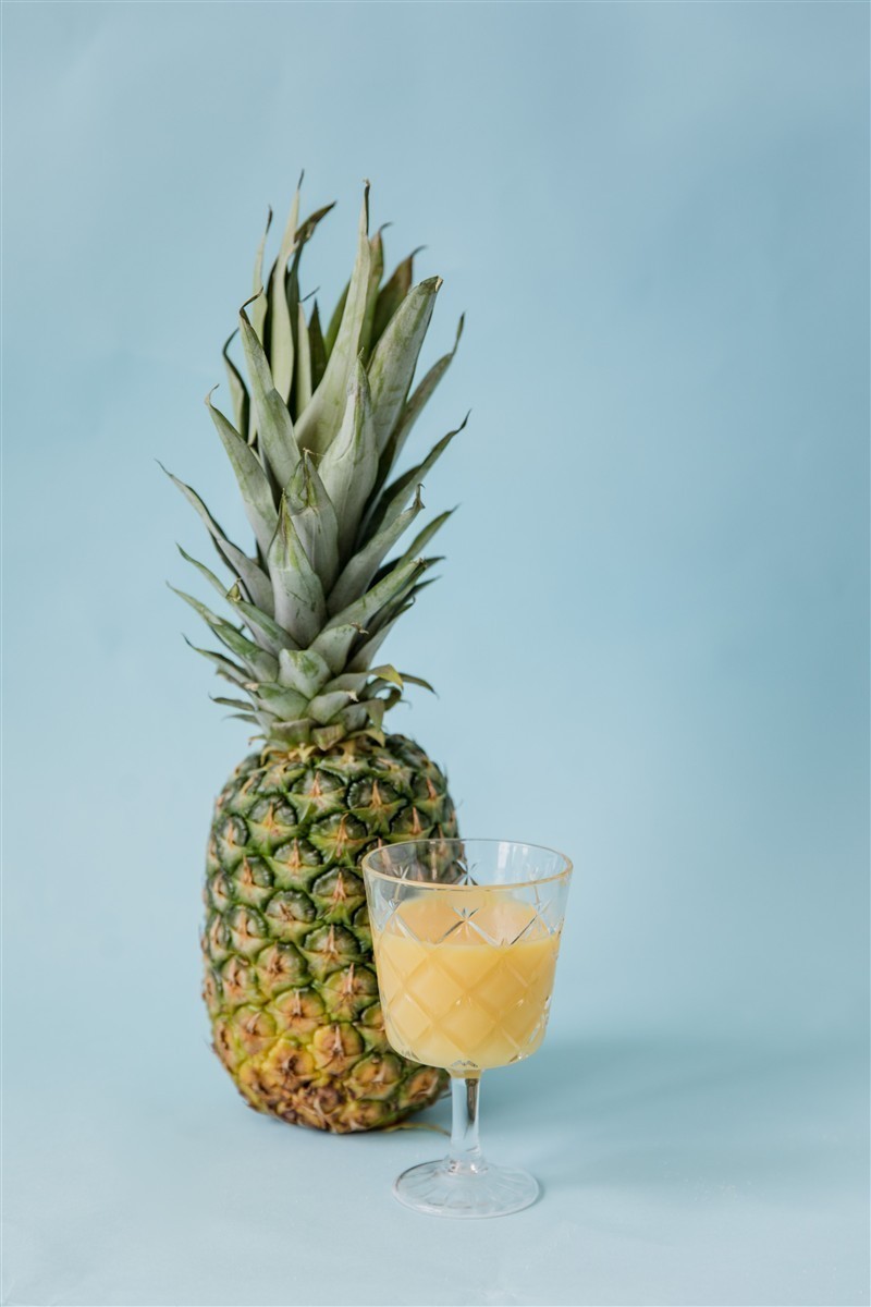Ponthier ANANAS PÜREE Frucht-Püree Ananasmark 1KG