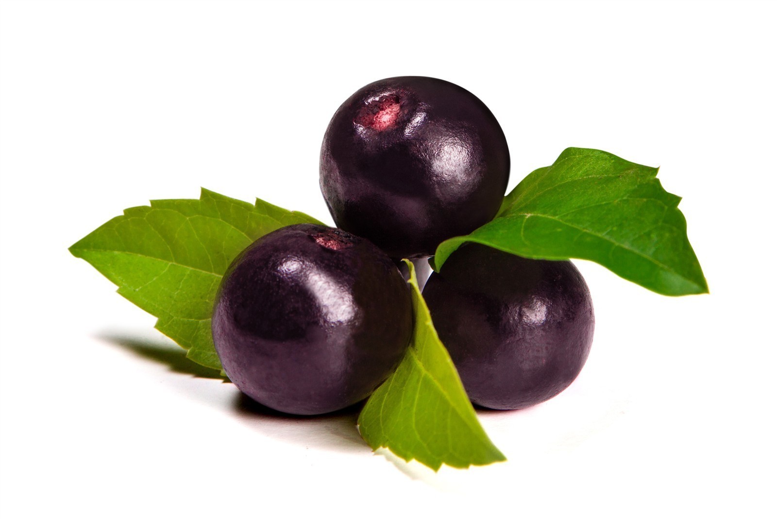 Ponthier ACAI-BEERE-Frucht-PÜREE Acaibeerenmark 6x 1KG 