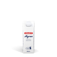 Gazi Ayran 60x 250ml Joghurt-Soft-Drink Getränk Mix PET