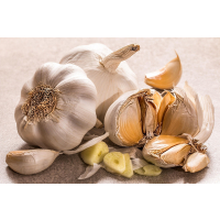 Goudas Glorie Fresh Garlic Sauce 850ml Squeeze glutenfrei...