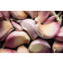 Goudas Glorie Fresh Garlic Sauce 4x  850ml Squeeze glutenfrei cremig