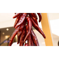 Red Hot Samurai Sauce 3l von Gouda´s Glorie