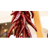 Red Hot Samurai Sauce 4x 3l von Gouda´s Glorie