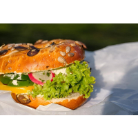 DeVlaendere Andalouse Sauce 3x 1L Tube glutenfreie Soße aus Belgien