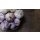 Hymor violetter Knoblauch 6 Knollen Ajo Morado spanischer Knoblauch