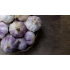 Hymor violetter Knoblauch 6 Knollen Ajo Morado spanischer Knoblauch