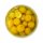 Hymor ganze Salz-Zitronen eingelegt 1,6kg Eimer nordafrikanische K&uuml;che