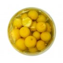 Hymor ganze Salz-Zitronen eingelegt 3x 1,6kg Eimer...