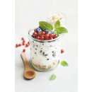 Sirtakis Joghurt nach griechischer Art 3x 1kg extra cremig 10% Fett Sahnejoghurt