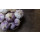 Hymor violetter Knoblauch 10kg Ajo Morado Knollen spanischer Knoblauch