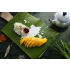 Ponthier BIO Mango-Püree 5x 1kg indische Alphonso Mangos